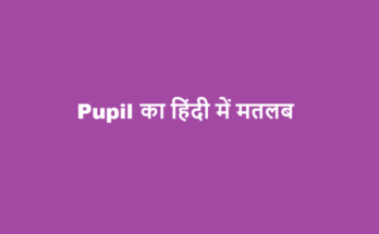 pupil meaning in hindi