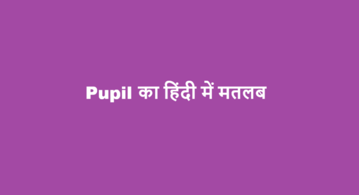 pupil meaning in hindi