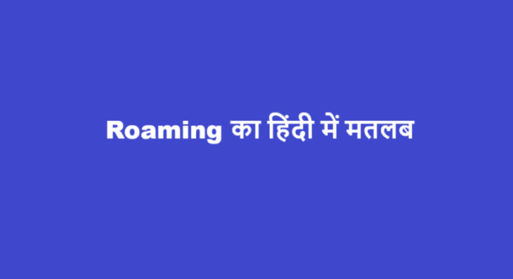 roaming meaning in hindi