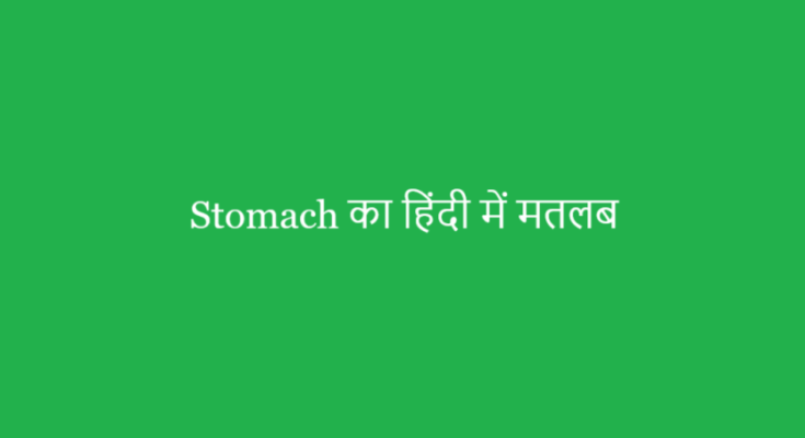 Stomach meaning in Hindi
