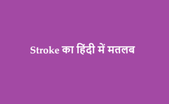 stroke meaning in hindi