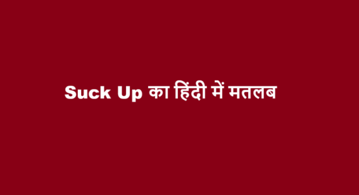 suck up meaning in hindi