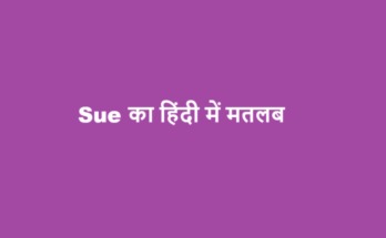 sue meaning in hindi
