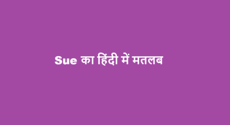 sue meaning in hindi