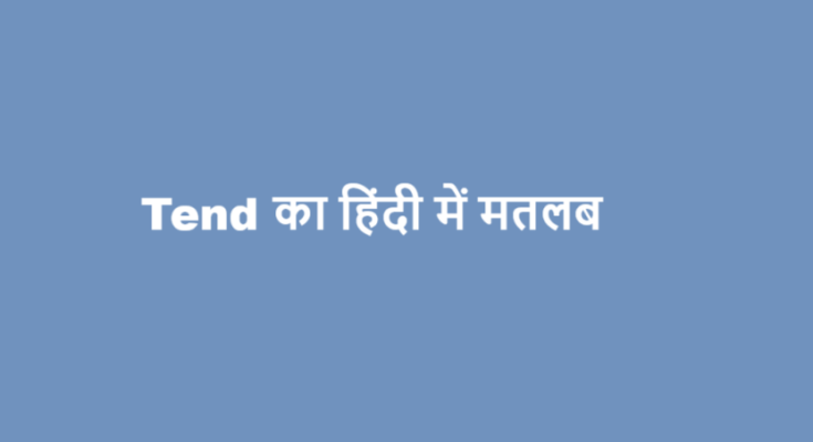 tend meaning in hindi