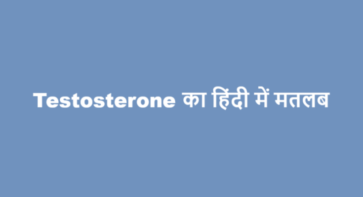 testosterone meaning in hindi