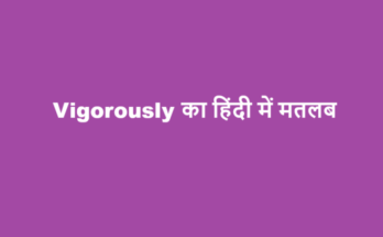 vigorously meaning in hindi