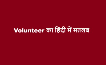 volunteer meaning in hindi