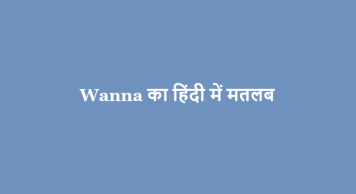 wanna meaning in hindi
