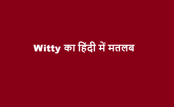 witty meaning in hindi