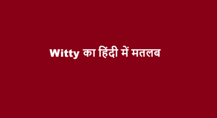 witty meaning in hindi