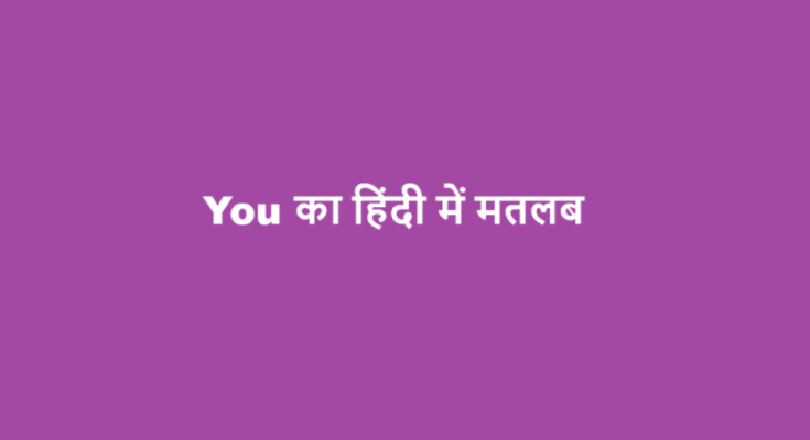 you meaning in hindi